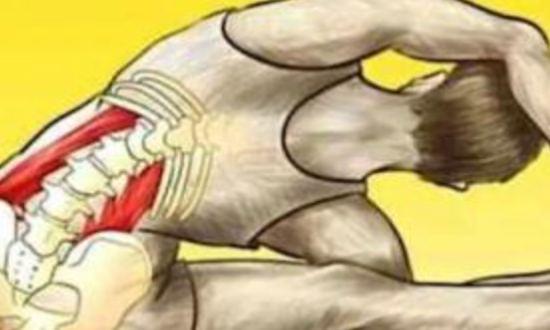 Ilustração editorial: desconforto na zona lombar — imagem simbólica